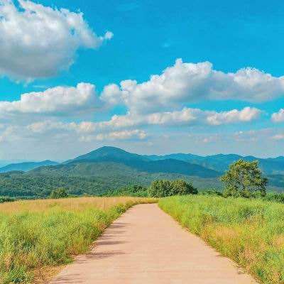 BOB半岛·体育官方平台