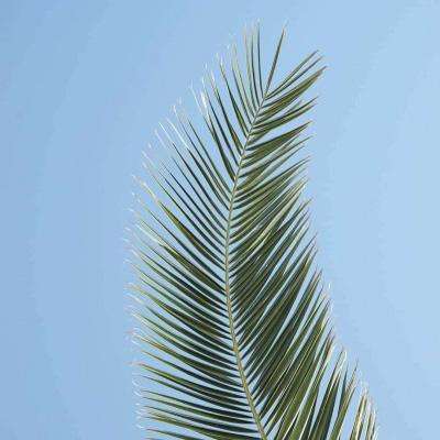 B体育手机版在线手机app下载截图