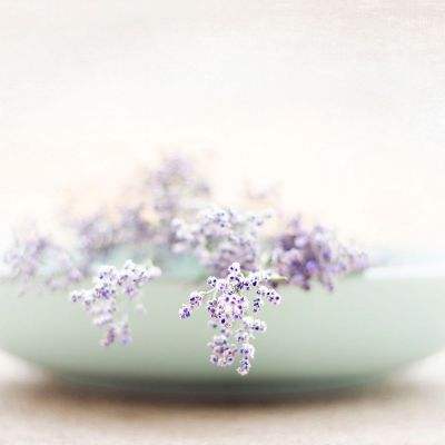 百姓彩票手机app下载