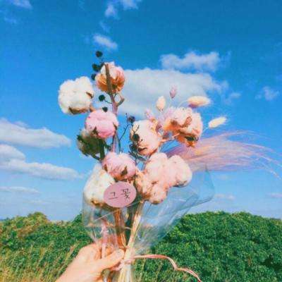 bat软件下载官方