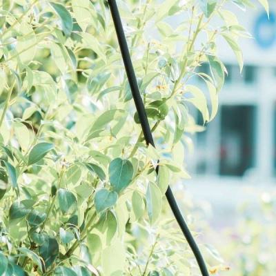 乐鱼appapp下载截图