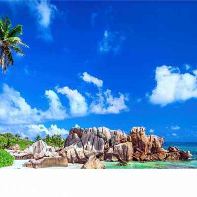 B体育手机版在线手机app下载